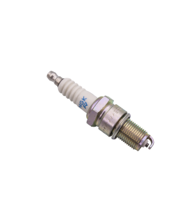 T4RA-02064.png