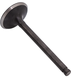 T4RA-02083.png