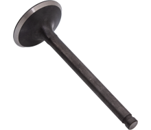T4RA-02083.png